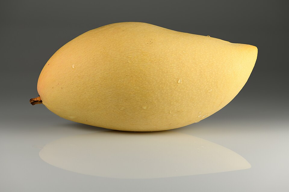 Alphonso Mango