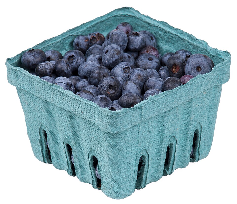 Blueberry Punnet