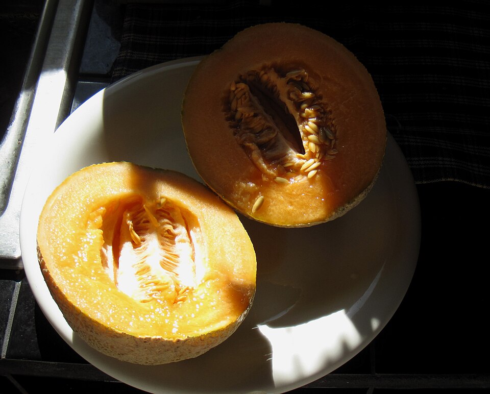 Cantaloupe