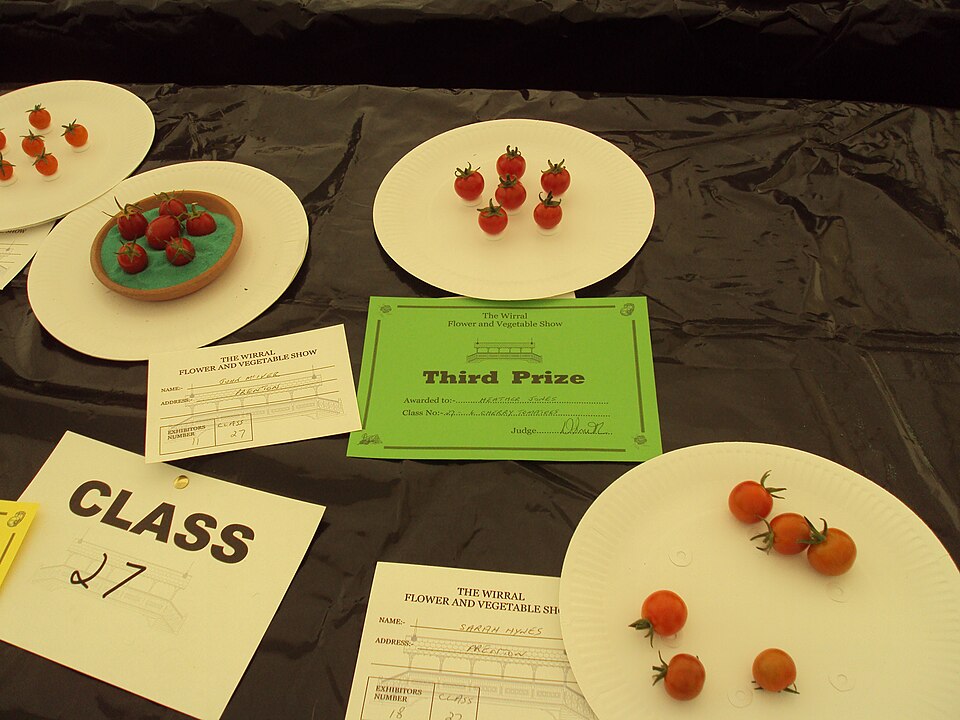 Cherry Tomatoes