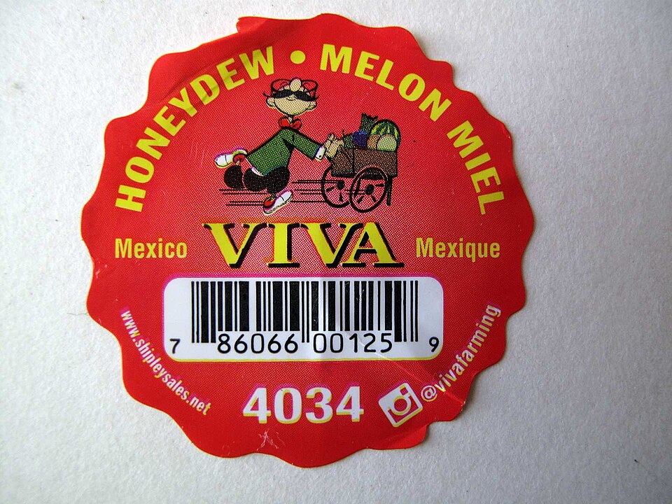 Honeydew Melon